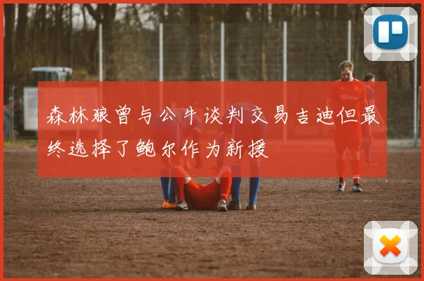 森林狼曾与公牛谈判交易吉迪但最终选择了鲍尔作为新援